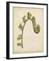 Fiddlehead Ferns III-Jennifer Goldberger-Framed Art Print