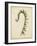 Fiddlehead Ferns IV-Jennifer Goldberger-Framed Art Print