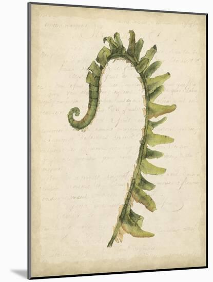 Fiddlehead Ferns IV-Jennifer Goldberger-Mounted Art Print