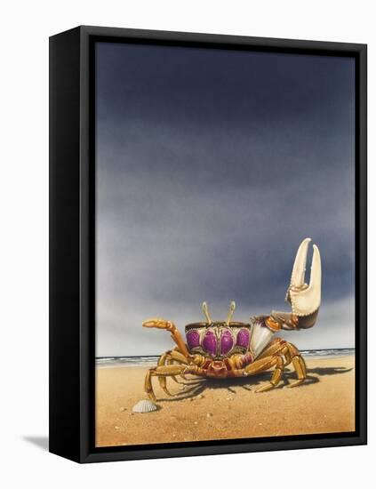 Fiddler Crab-Harro Maass-Framed Stretched Canvas