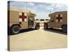 Field Ambulances-Stocktrek Images-Stretched Canvas