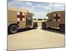 Field Ambulances-Stocktrek Images-Mounted Photographic Print