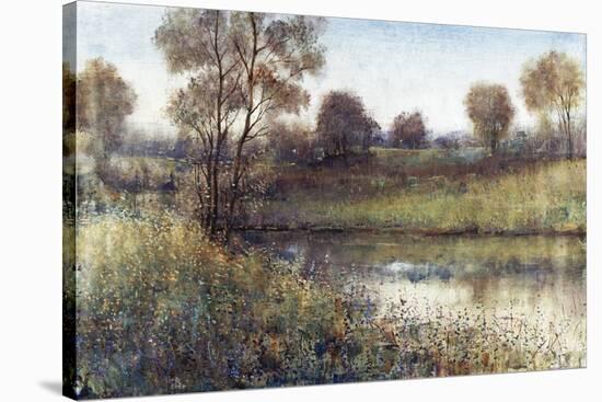 Field And Stream-Tim O'toole-Stretched Canvas