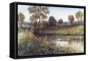 Field And Stream-Tim O'toole-Framed Stretched Canvas