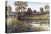 Field And Stream-Tim O'toole-Stretched Canvas