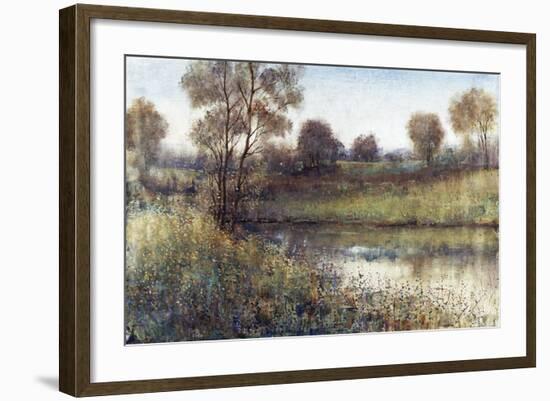 Field And Stream-Tim O'toole-Framed Giclee Print