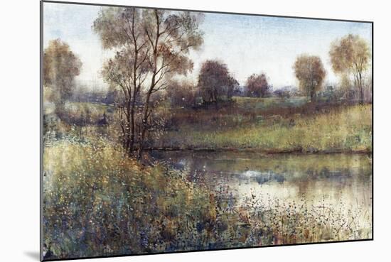 Field And Stream-Tim O'toole-Mounted Giclee Print