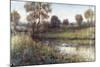 Field And Stream-Tim O'toole-Mounted Giclee Print