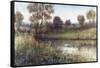 Field And Stream-Tim O'toole-Framed Stretched Canvas