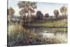 Field And Stream-Tim O'toole-Stretched Canvas