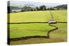 Field Barn and Dry Stone Walls in Crummack Dale, Yorkshire, England, United Kingdom, Europe-Mark Sunderland-Stretched Canvas