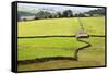 Field Barn and Dry Stone Walls in Crummack Dale, Yorkshire, England, United Kingdom, Europe-Mark Sunderland-Framed Stretched Canvas