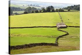 Field Barn and Dry Stone Walls in Crummack Dale, Yorkshire, England, United Kingdom, Europe-Mark Sunderland-Stretched Canvas