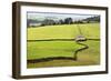 Field Barn and Dry Stone Walls in Crummack Dale, Yorkshire, England, United Kingdom, Europe-Mark Sunderland-Framed Photographic Print