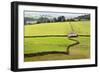 Field Barn and Dry Stone Walls in Crummack Dale, Yorkshire, England, United Kingdom, Europe-Mark Sunderland-Framed Photographic Print