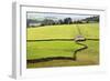 Field Barn and Dry Stone Walls in Crummack Dale, Yorkshire, England, United Kingdom, Europe-Mark Sunderland-Framed Photographic Print