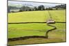 Field Barn and Dry Stone Walls in Crummack Dale, Yorkshire, England, United Kingdom, Europe-Mark Sunderland-Mounted Photographic Print