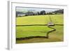 Field Barn and Dry Stone Walls in Crummack Dale, Yorkshire, England, United Kingdom, Europe-Mark Sunderland-Framed Photographic Print