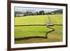 Field Barn and Dry Stone Walls in Crummack Dale, Yorkshire, England, United Kingdom, Europe-Mark Sunderland-Framed Photographic Print