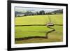 Field Barn and Dry Stone Walls in Crummack Dale, Yorkshire, England, United Kingdom, Europe-Mark Sunderland-Framed Photographic Print