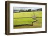 Field Barn and Dry Stone Walls in Crummack Dale, Yorkshire, England, United Kingdom, Europe-Mark Sunderland-Framed Photographic Print