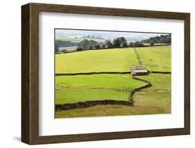 Field Barn and Dry Stone Walls in Crummack Dale, Yorkshire, England, United Kingdom, Europe-Mark Sunderland-Framed Photographic Print