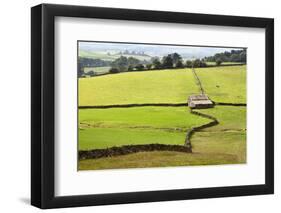 Field Barn and Dry Stone Walls in Crummack Dale, Yorkshire, England, United Kingdom, Europe-Mark Sunderland-Framed Photographic Print