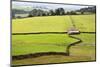 Field Barn and Dry Stone Walls in Crummack Dale, Yorkshire, England, United Kingdom, Europe-Mark Sunderland-Mounted Photographic Print