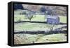 Field Barn and Dry Stone Walls in Garsdale-Mark-Framed Stretched Canvas