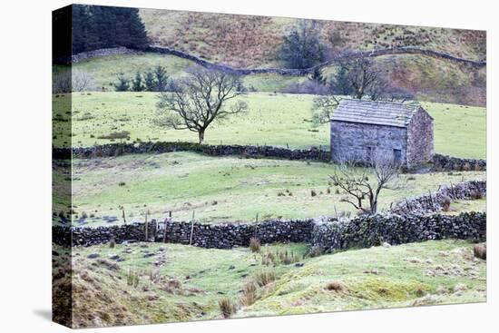 Field Barn and Dry Stone Walls in Garsdale-Mark-Stretched Canvas