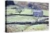 Field Barn and Dry Stone Walls in Garsdale-Mark-Stretched Canvas