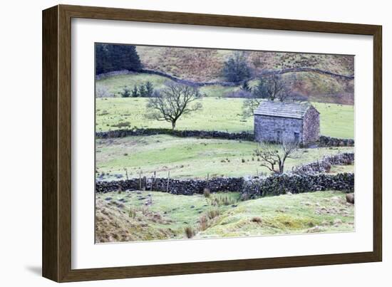 Field Barn and Dry Stone Walls in Garsdale-Mark-Framed Photographic Print