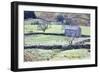 Field Barn and Dry Stone Walls in Garsdale-Mark-Framed Photographic Print