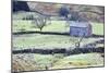 Field Barn and Dry Stone Walls in Garsdale-Mark-Mounted Photographic Print