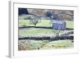 Field Barn and Dry Stone Walls in Garsdale-Mark-Framed Photographic Print