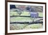 Field Barn and Dry Stone Walls in Garsdale-Mark-Framed Photographic Print