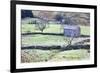 Field Barn and Dry Stone Walls in Garsdale-Mark-Framed Photographic Print