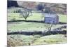 Field Barn and Dry Stone Walls in Garsdale-Mark-Mounted Photographic Print