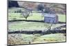 Field Barn and Dry Stone Walls in Garsdale-Mark-Mounted Photographic Print