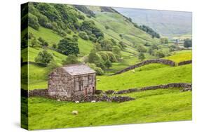 Field Barn Below Kisdon Hill Near Angram in Swaledale-Mark Sunderland-Stretched Canvas