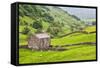 Field Barn Below Kisdon Hill Near Angram in Swaledale-Mark Sunderland-Framed Stretched Canvas