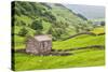 Field Barn Below Kisdon Hill Near Angram in Swaledale-Mark Sunderland-Stretched Canvas