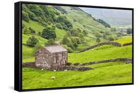 Field Barn Below Kisdon Hill Near Angram in Swaledale-Mark Sunderland-Framed Stretched Canvas