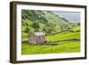 Field Barn Below Kisdon Hill Near Angram in Swaledale-Mark Sunderland-Framed Photographic Print