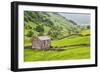 Field Barn Below Kisdon Hill Near Angram in Swaledale-Mark Sunderland-Framed Photographic Print