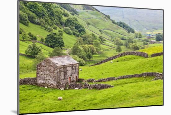 Field Barn Below Kisdon Hill Near Angram in Swaledale-Mark Sunderland-Mounted Photographic Print