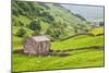 Field Barn Below Kisdon Hill Near Angram in Swaledale-Mark Sunderland-Mounted Photographic Print