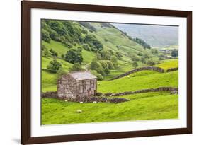 Field Barn Below Kisdon Hill Near Angram in Swaledale-Mark Sunderland-Framed Photographic Print