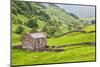 Field Barn Below Kisdon Hill Near Angram in Swaledale-Mark Sunderland-Mounted Photographic Print