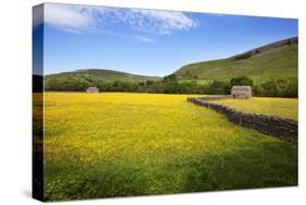 Field Barns and Buttercup Meadows at Muker-Mark Sunderland-Stretched Canvas